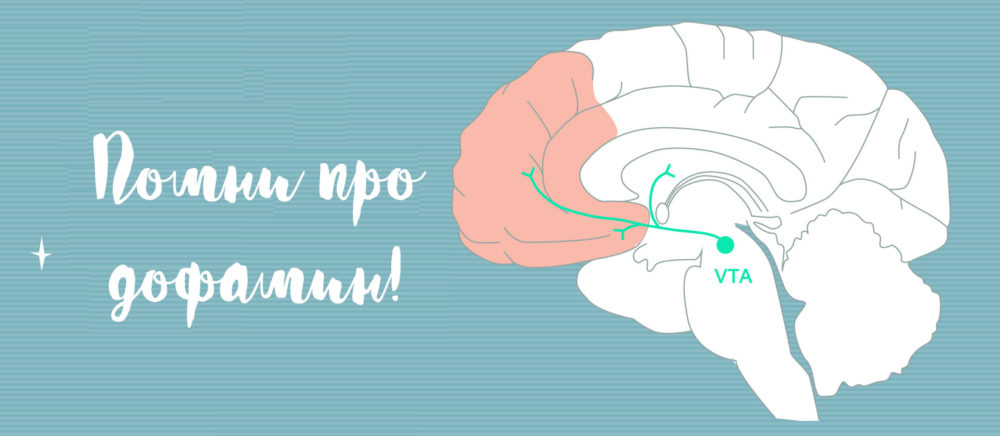 [Андрей Беловешкин] Здоровый дофамин (2018)_0.jpg